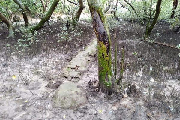 thumbnail_IMG_4525