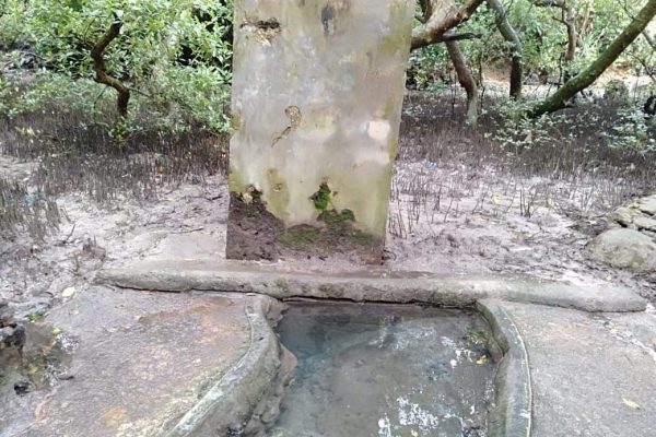 thumbnail_IMG_4526